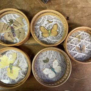 Sous verres vintage papillons